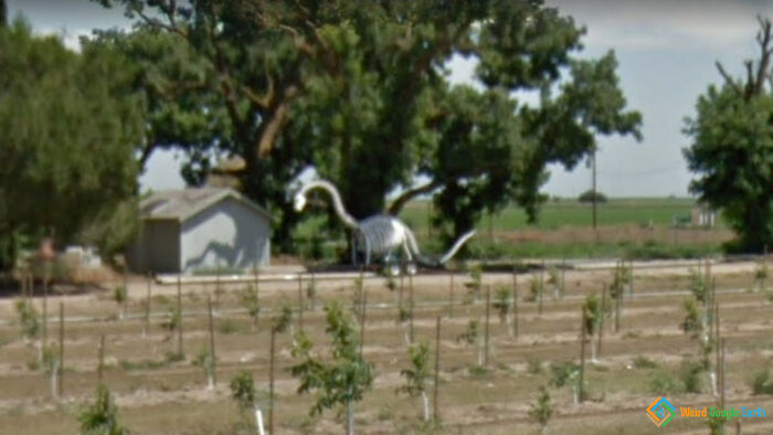 Esqueleto de dinosaurio. Dixon, California, EEUU