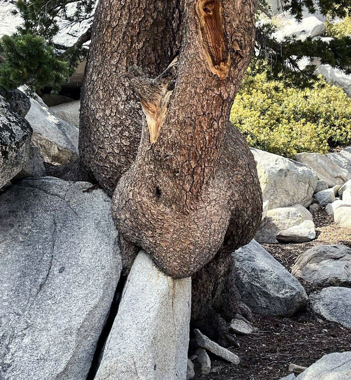 Enjoying A Tasty Stone Brisket