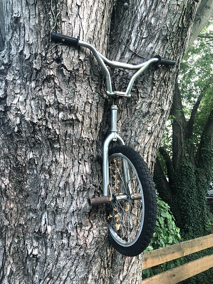 My Dad And I Started Giving Tree "Food" 15 Years Ago