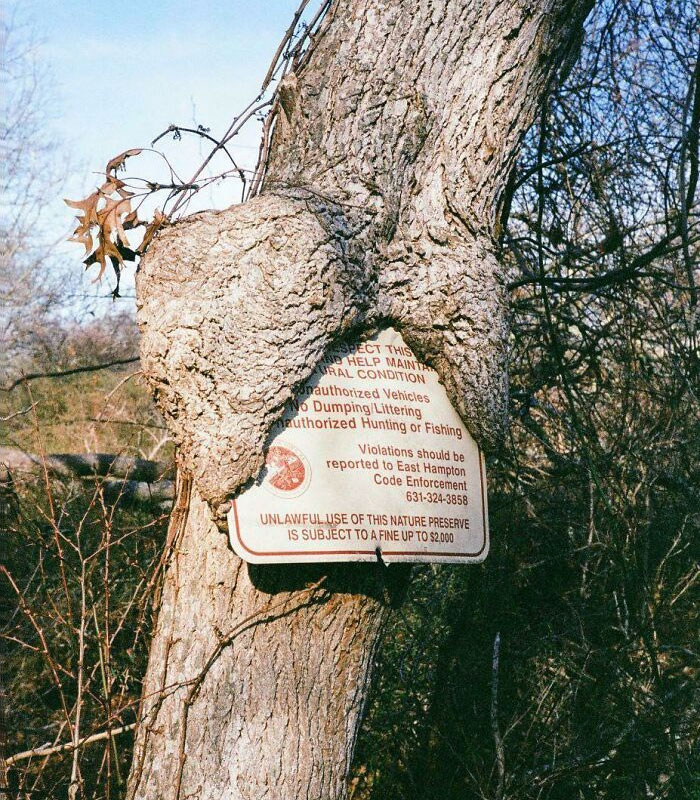 I'll Be Sucking On This Sign, Thank You Very Much