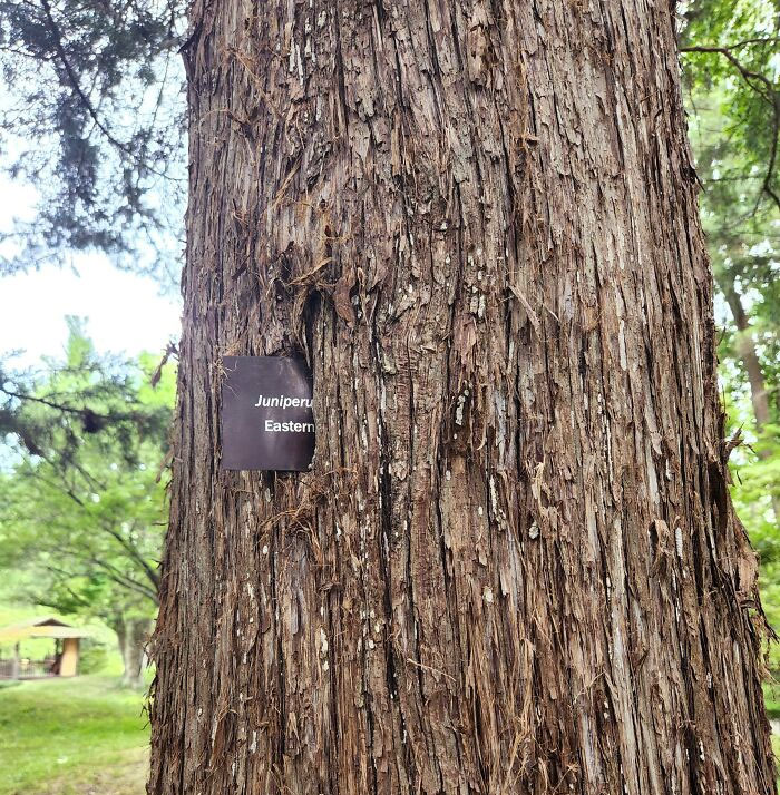 Aww, Now I'll Never Know Your Real Name