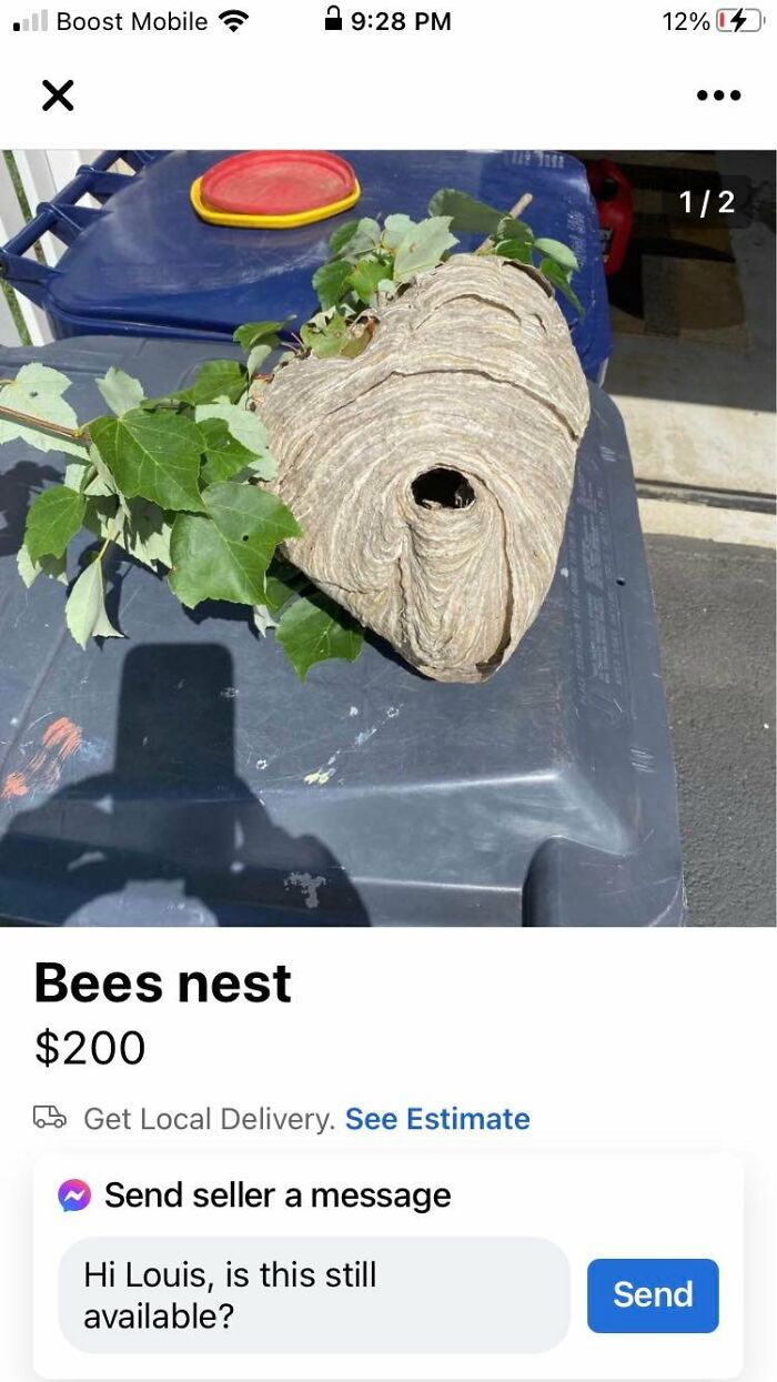 Idiots-Of-Facebook-Marketplace