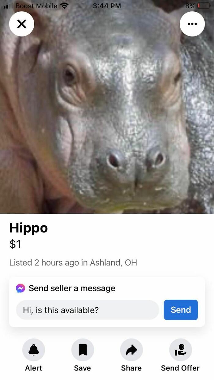 Idiots-Of-Facebook-Marketplace