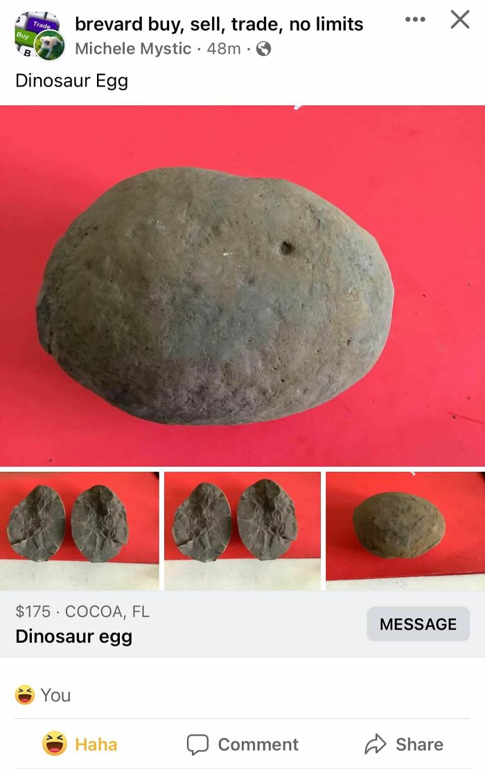 Idiots-Of-Facebook-Marketplace