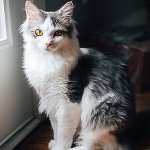 christiennewbury avatar