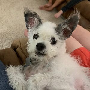 nicholmertens-maxson avatar