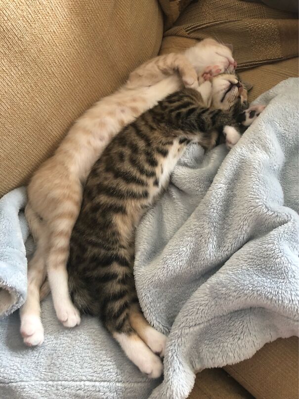 Johnny And Sascha, Snuggle Buds Forever!