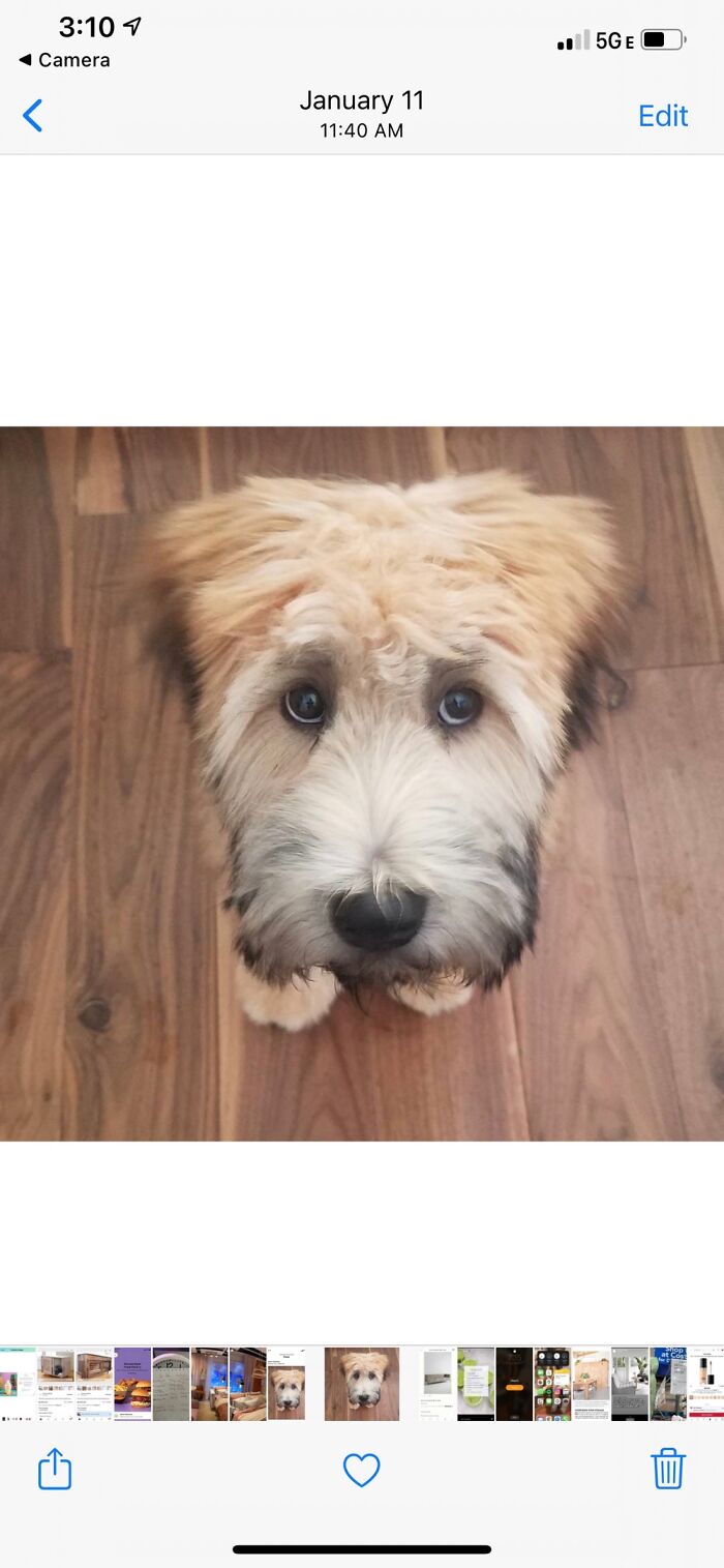 The Look Topher Gave After He Sharted