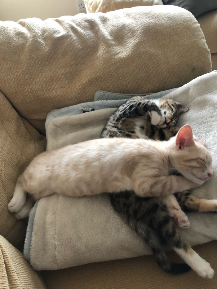 Johnny And Sacha, The Dream 😴 Team