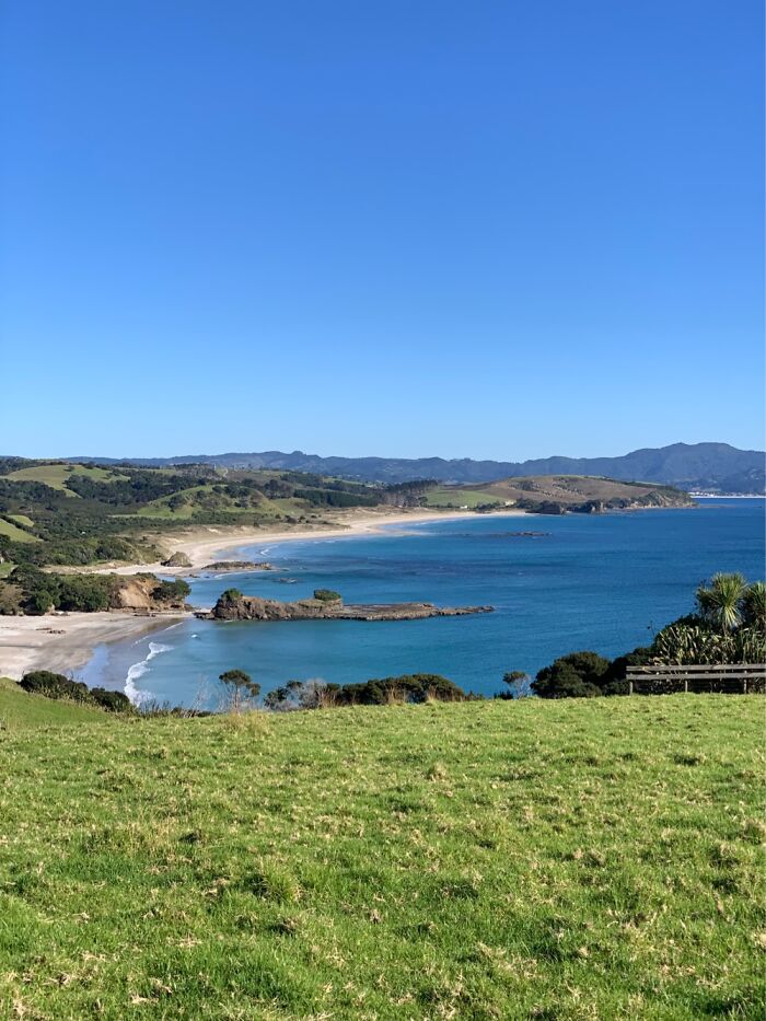 Tawharanui Beach, Auckland, New Zealand