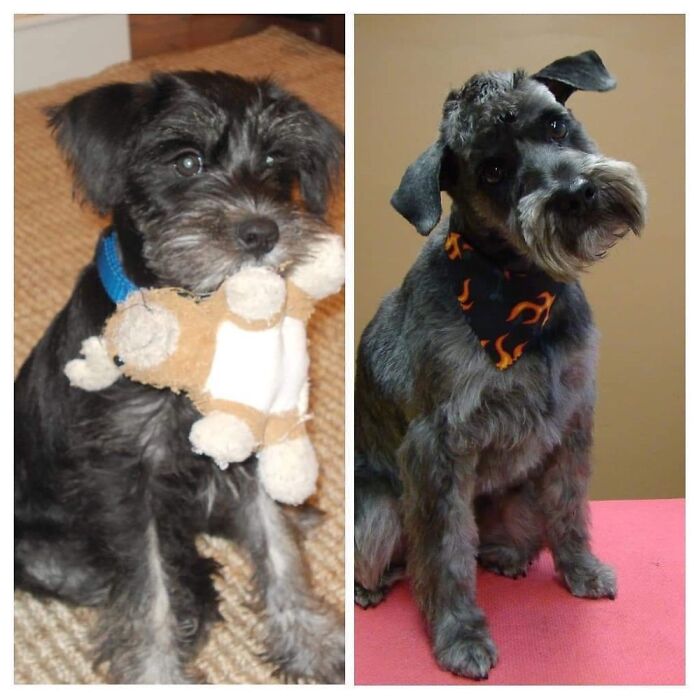 This Is Jack. Rip Sweet Boy