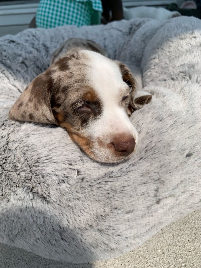 So Sleepy. Little Luigi