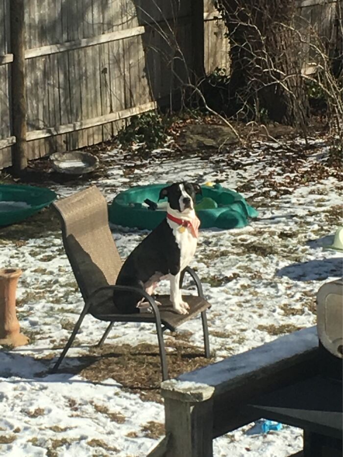 Baby Does Not Like Snow On Her Feet!