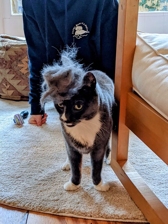 “What?! It’s All The Rage In Paris …”