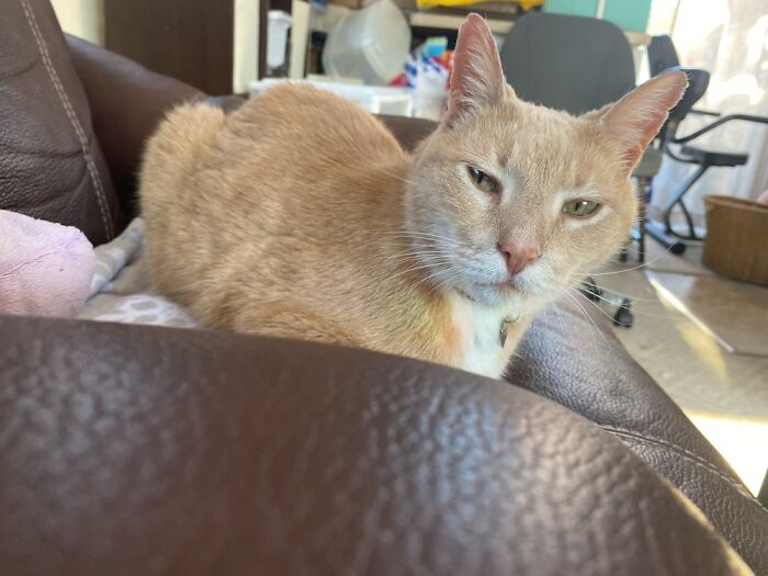 Murphy Judging Me Again