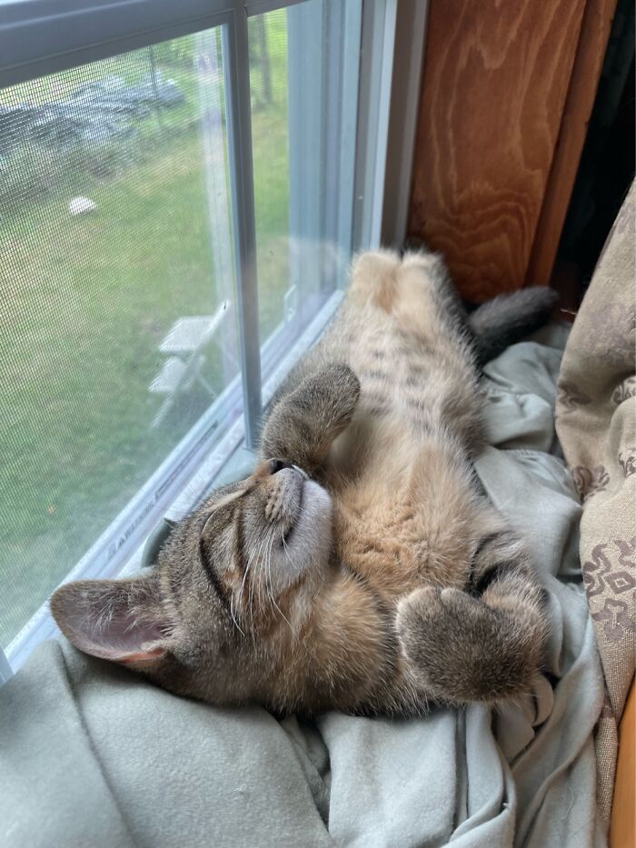 Living His Best Life