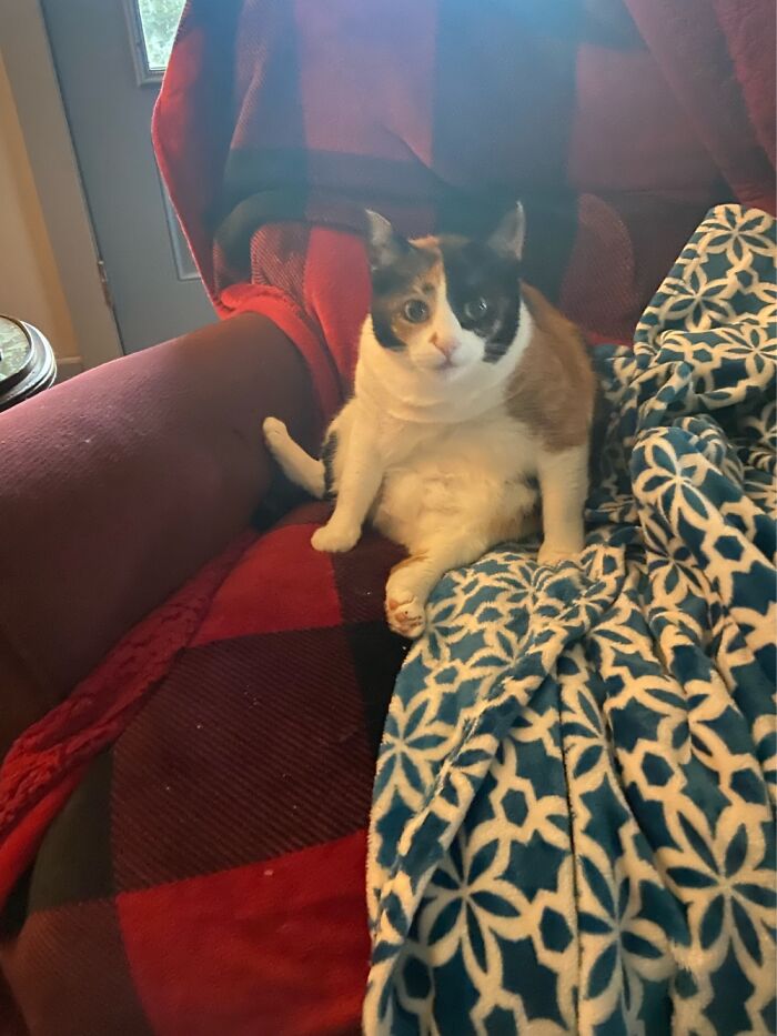 Pumpkin Caught Mid Bath