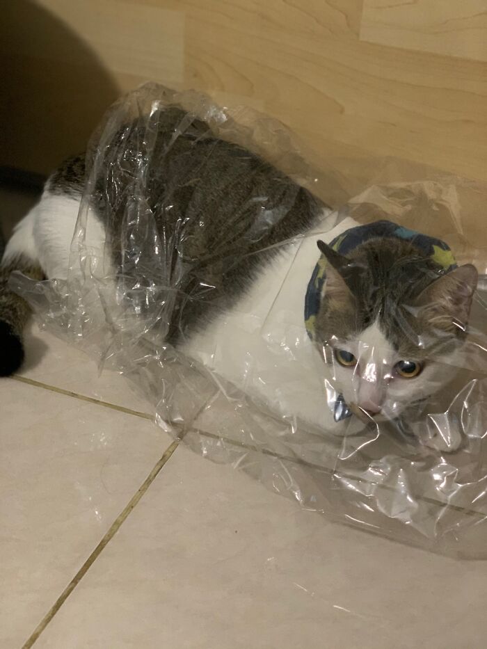 He Thinks He’s Invisible