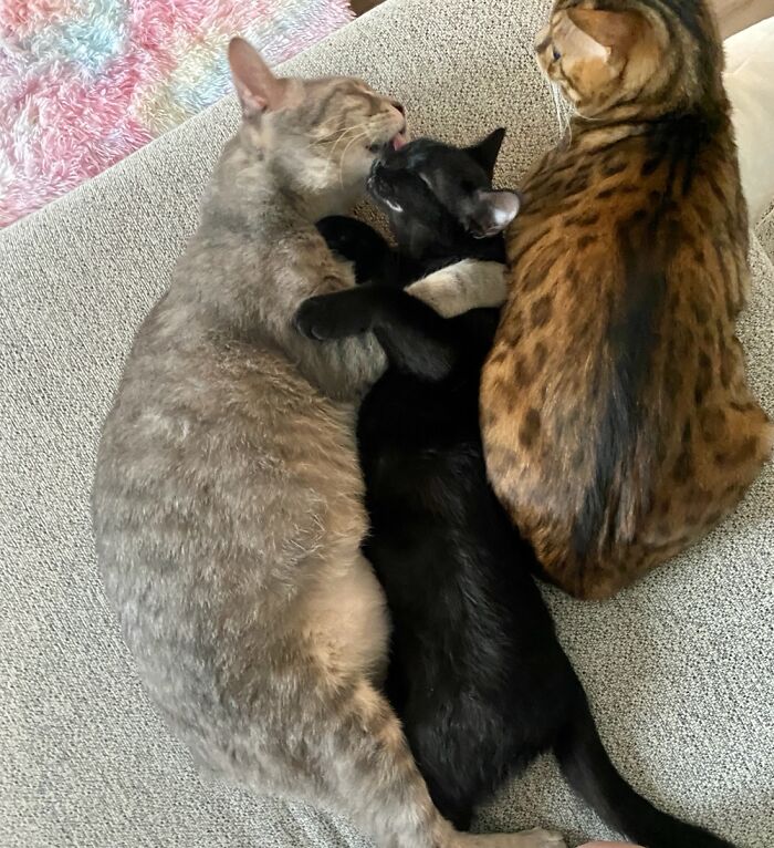 Solstice, Vortex, Quantum