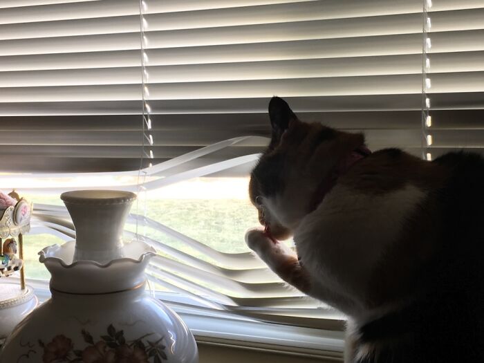 There. That’s Better