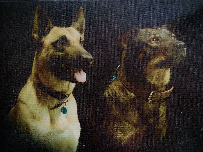 No Longer With Us, Great Memories!