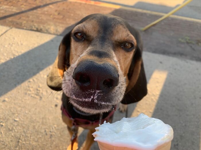 Bootsy Collins Enjoying Some Dq