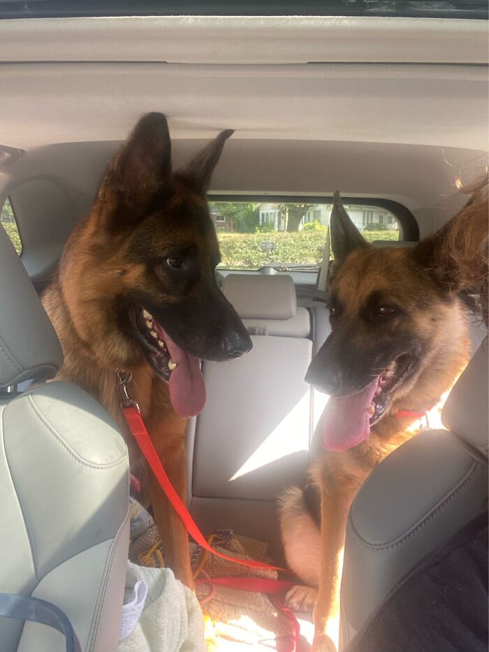 6/22 - Their Person Passed Away The Same Week As My Dad. Now We’re Surviving Together