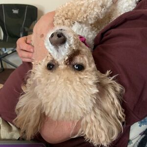 willoughbyarneson avatar