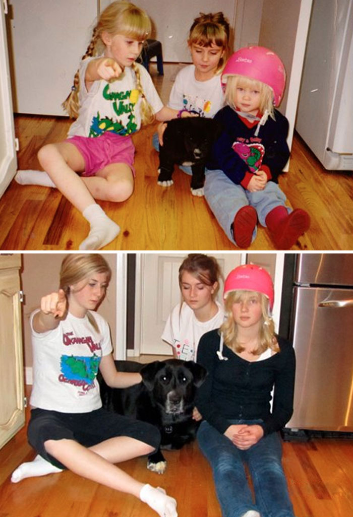 El día que recibimos a nuestro cachorro, y 11 años después