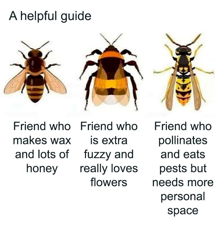 Interesting-Lighter-Side-Of-Science-Pictures