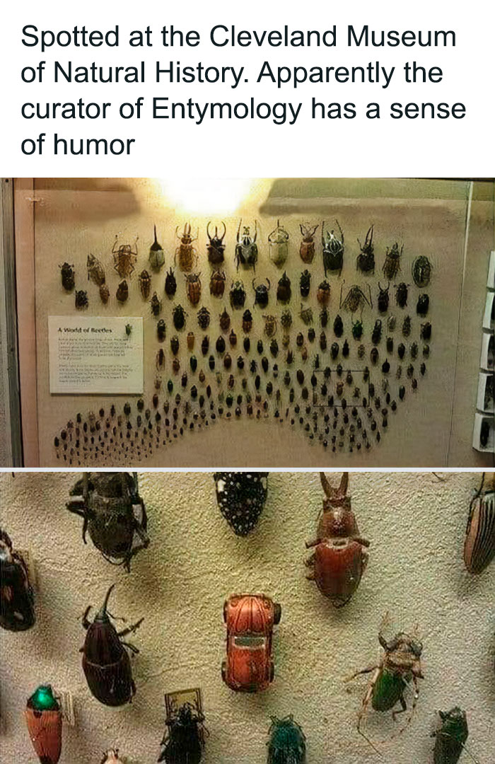 Interesting-Lighter-Side-Of-Science-Pictures