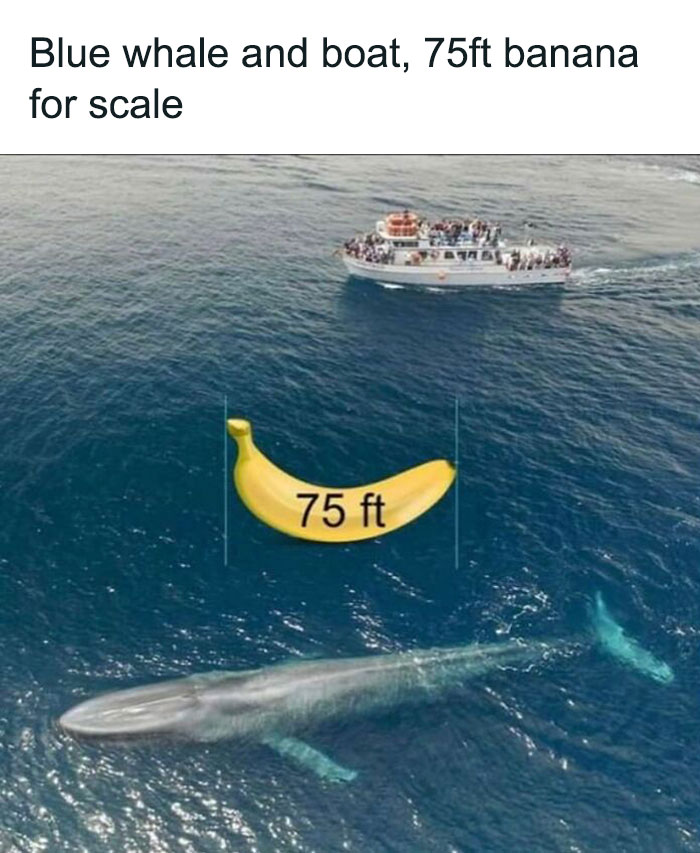 Interesting-Lighter-Side-Of-Science-Pictures