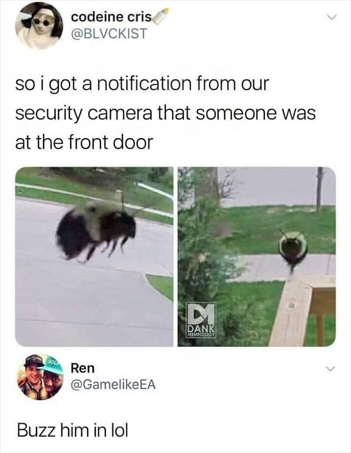 Interesting-Lighter-Side-Of-Science-Pictures