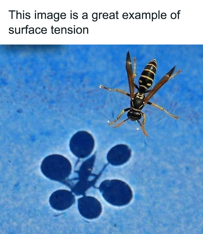 Interesting-Lighter-Side-Of-Science-Pictures