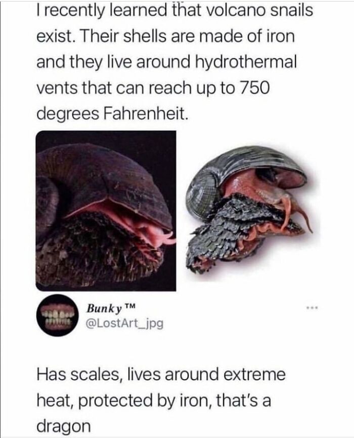 Interesting-Lighter-Side-Of-Science-Pictures