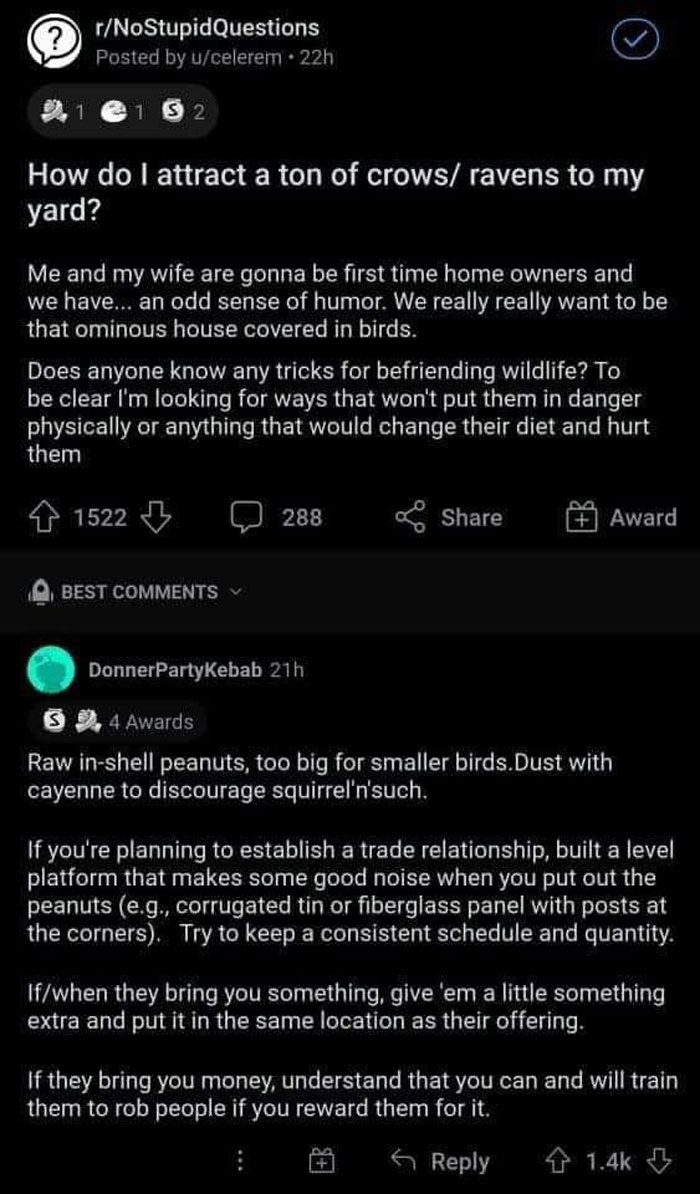 Interesting-Lighter-Side-Of-Science-Pictures