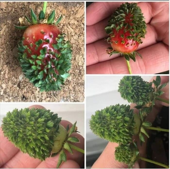 Interesting-Lighter-Side-Of-Science-Pictures