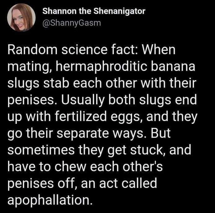 Interesting-Lighter-Side-Of-Science-Pictures