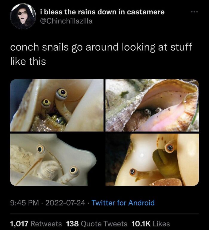 Interesting-Lighter-Side-Of-Science-Pictures