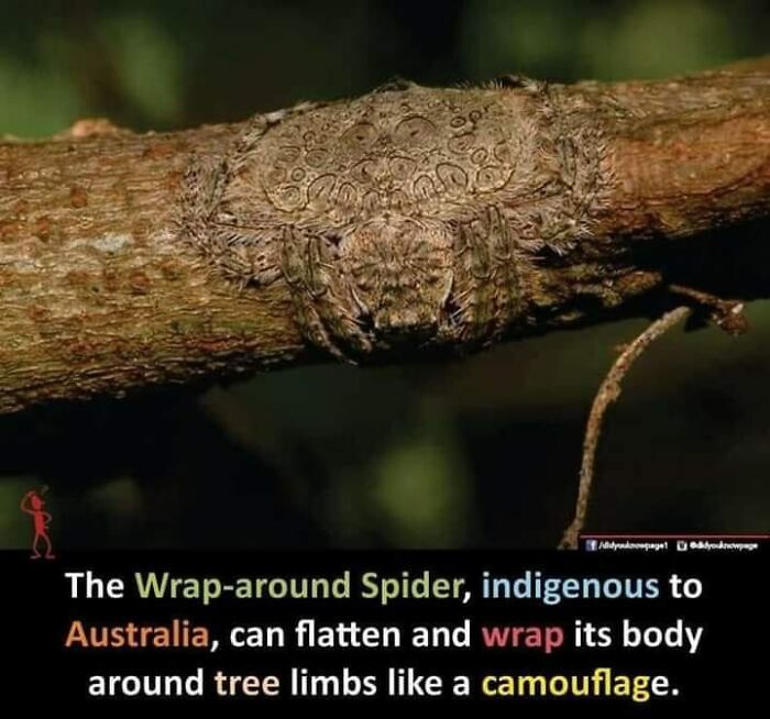 Interesting-Lighter-Side-Of-Science-Pictures