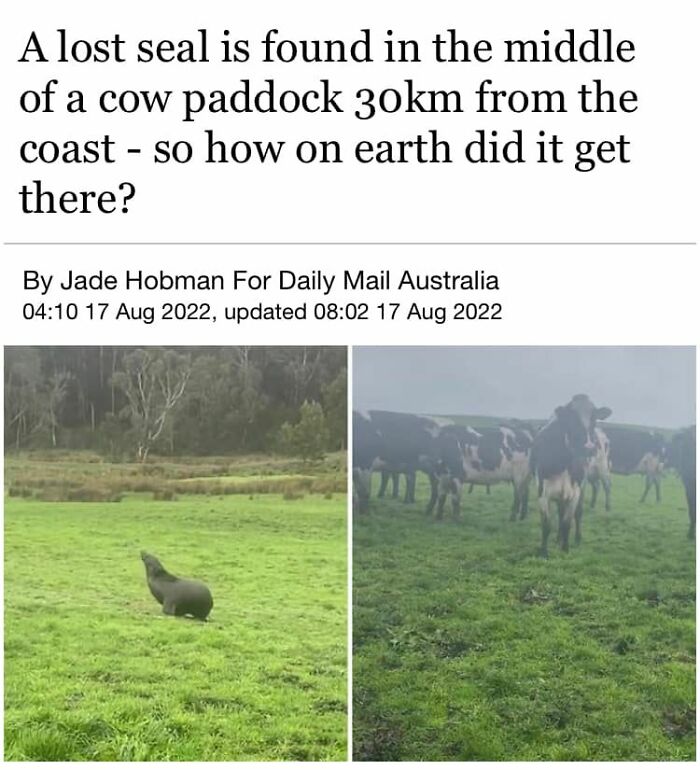 Interesting-Lighter-Side-Of-Science-Pictures