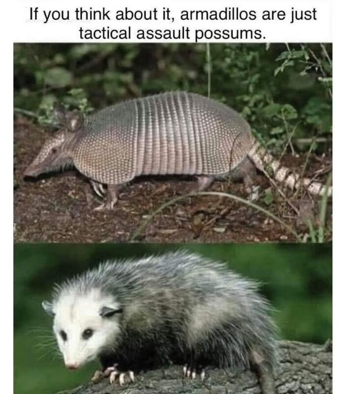 Interesting-Lighter-Side-Of-Science-Pictures