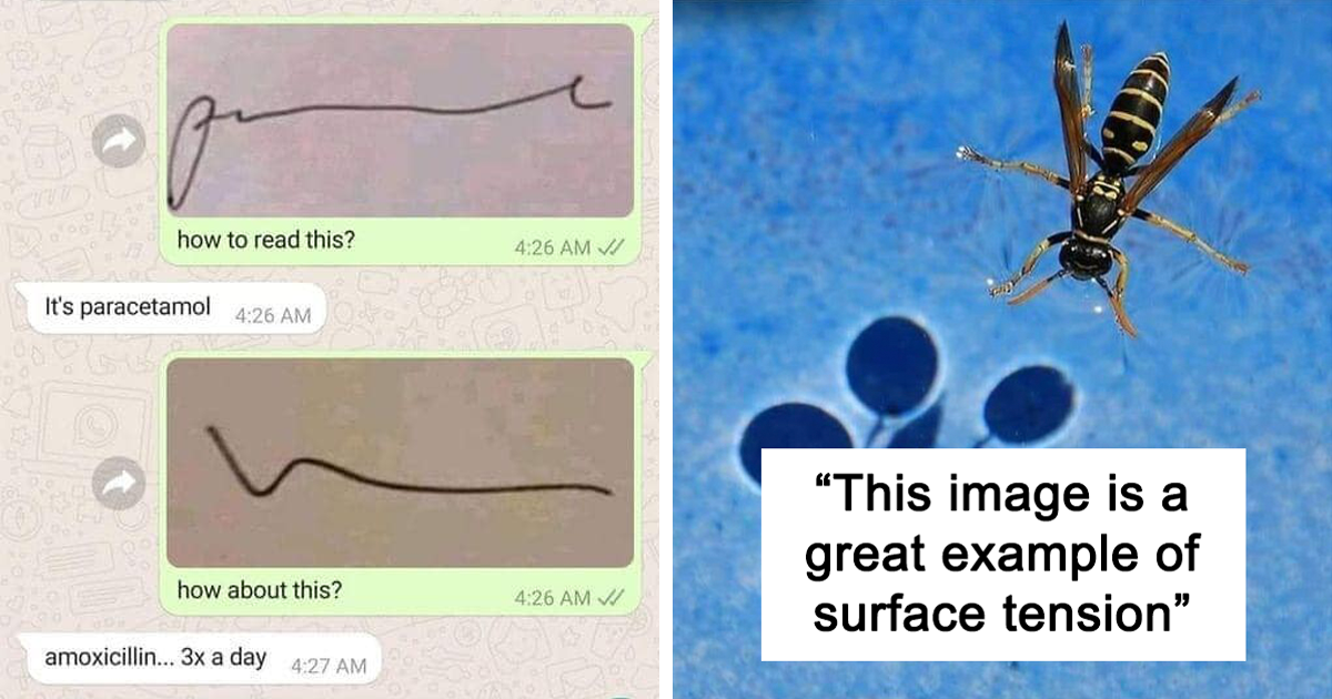 50 Of The Cleverest Science Memes That Perfectly Blend Humor With ...
