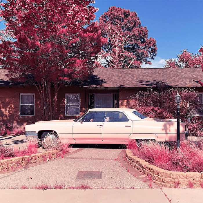 30 Best Pictures From The 2022 iPhone Photography Award