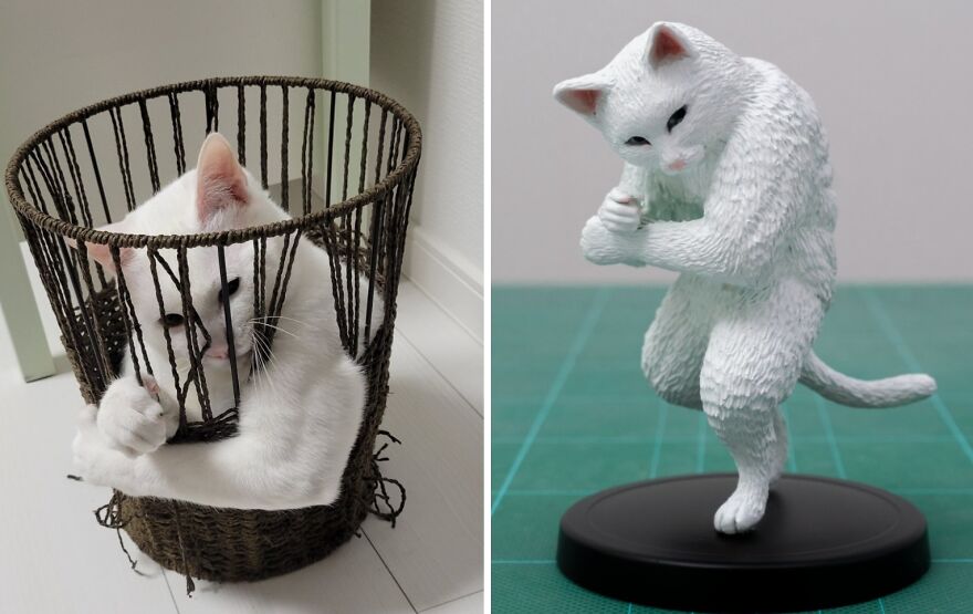 New Works By A Japanese Artist Who Turns Animal Memes Into Funny Sculptures New Works By A Japanese Artist Who Turns Animal Memes Into Funny Sculptures