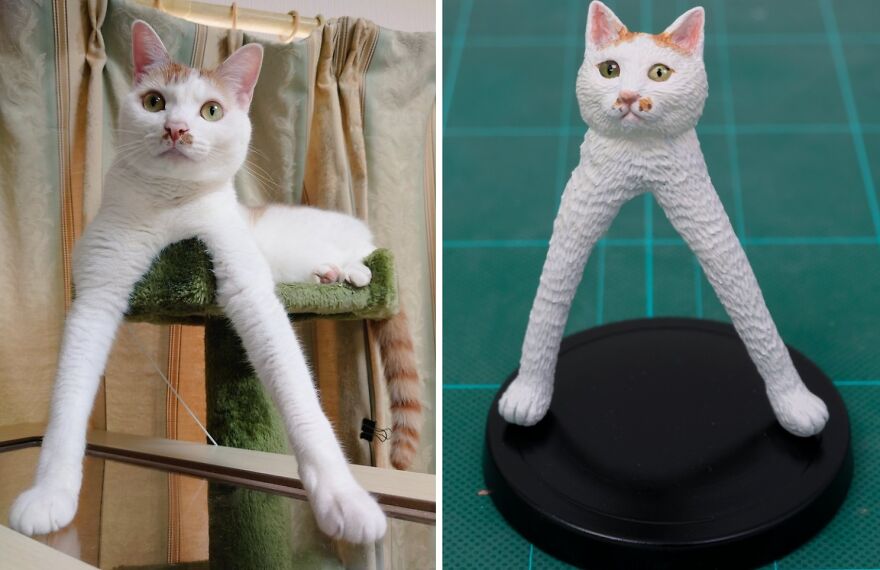 New Works By A Japanese Artist Who Turns Animal Memes Into Funny Sculptures New Works By A Japanese Artist Who Turns Animal Memes Into Funny Sculptures