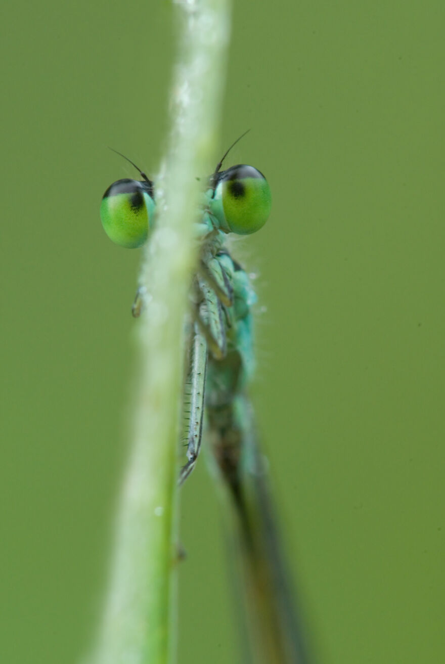 I See You, You See Me?