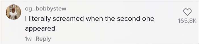 Man Captures A Karen Lying Under His Truck To Make Him Carry The Fridge He Delivered Inside On Video And Goes Viral Online