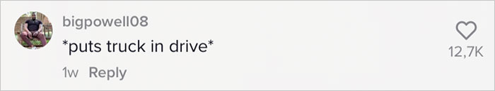 Man Captures A Karen Lying Under His Truck To Make Him Carry The Fridge He Delivered Inside On Video And Goes Viral Online