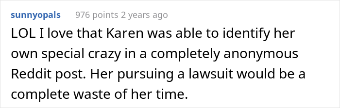 Karen Calls The Cops On Driver She Crashed Into, Regrets It After They See The Surveillance Footage - 41
